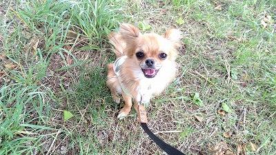 IMG_20200814_111728HD.jpg