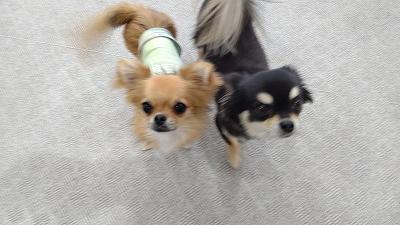 IMG_20200814_105256HD.jpg
