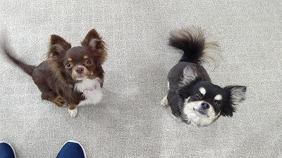 IMG_20200814_105237HD.jpg