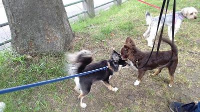 IMG_20200814_103824HD.jpg