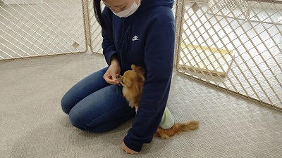 IMG_20200814_120635HD.jpg