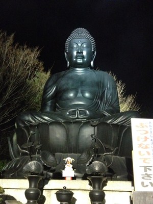 乗蓮寺2014初詣