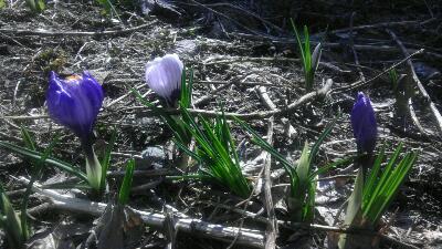 rps20130422_152421.jpg