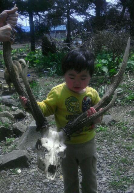 rps20130511_210007.jpg