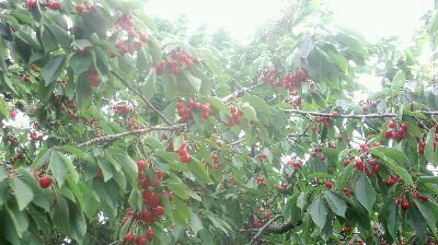 rps20130727_231617.jpg