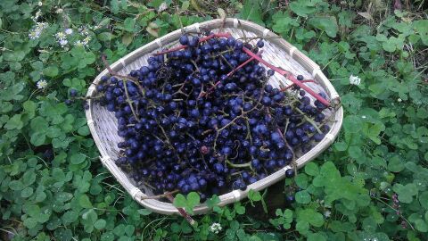 rps20131022_114322.jpg