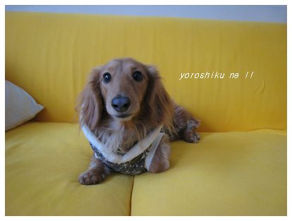Íèǯ¤â¤è¤í¤·¤¯¤Ç¤¹¡£