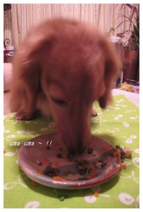 ¤¦¤Þ〜¤Ã¢ö¡£