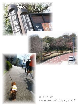 ¤ª¤µ¤ó¤Ý¤¬¤Æ¤é〜