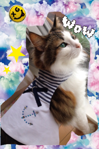 猫 ハーネス シーブリーズ