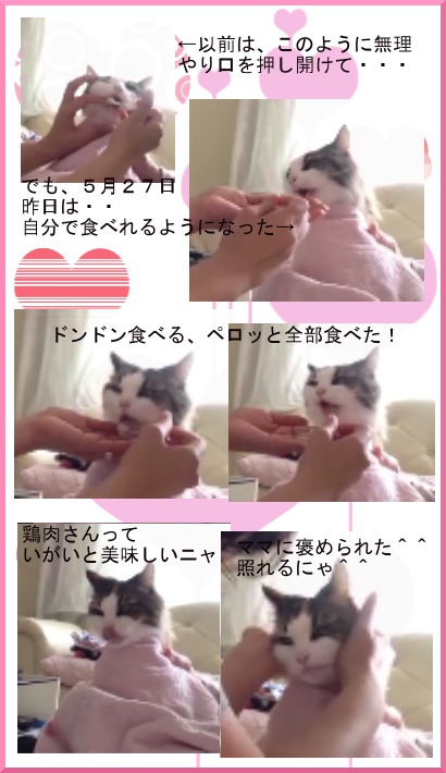 食べれた!
