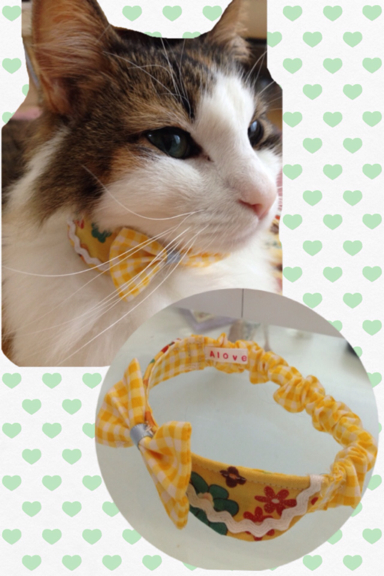 猫 首輪 シュシュ イエロー