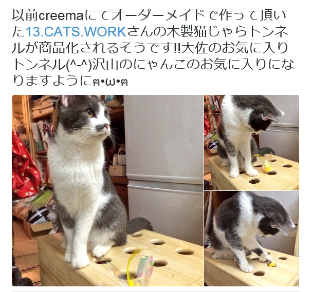 13.CATS.WORKSオリジナル猫じゃらトンネルレビュー