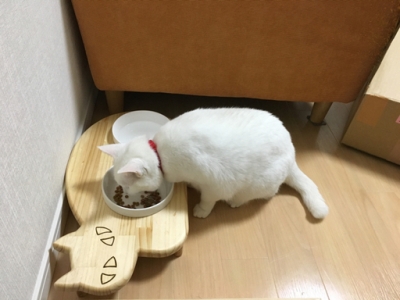 13.CATS.WORKSオリジナルネコ型フードテーブル通常サイズ