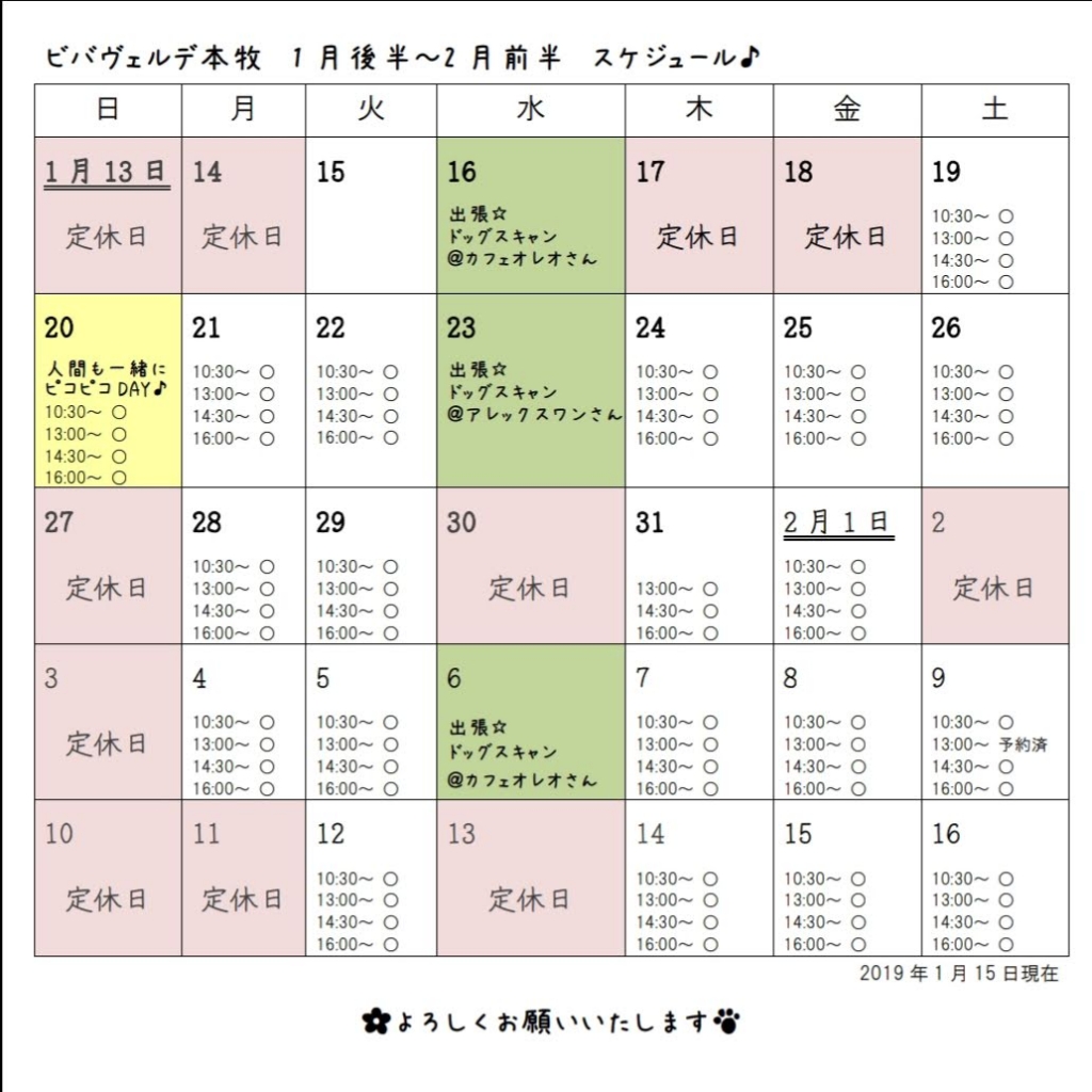 ビバヴェルデ本牧　スケジュール