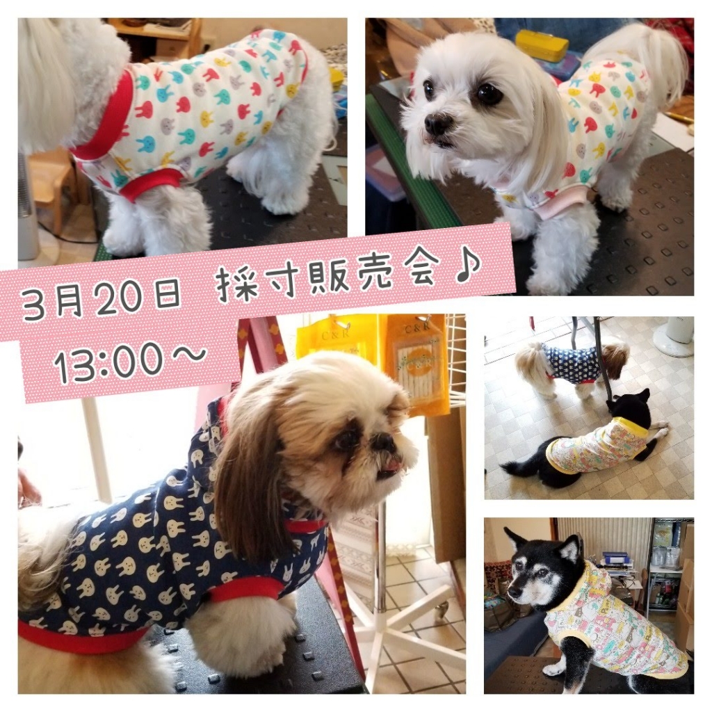 ショアーズ　採寸販売会　綿　犬の洋服