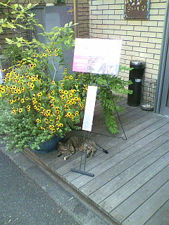 2010091919550000.jpg