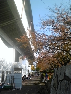 121124_124448.jpg