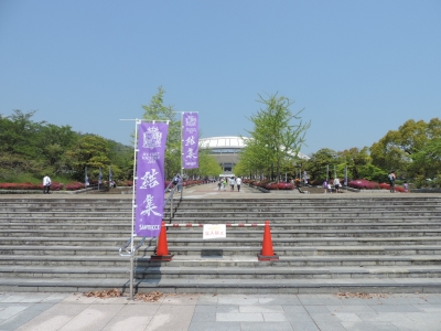 DSCN6449.JPG