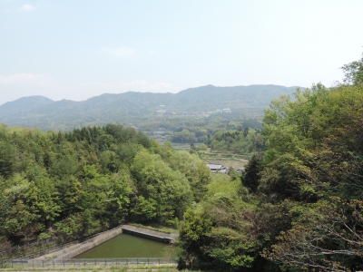 DSCN6490.JPG