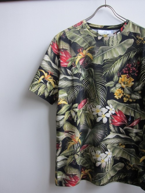 ami アミ Tシャツ 1.jpg