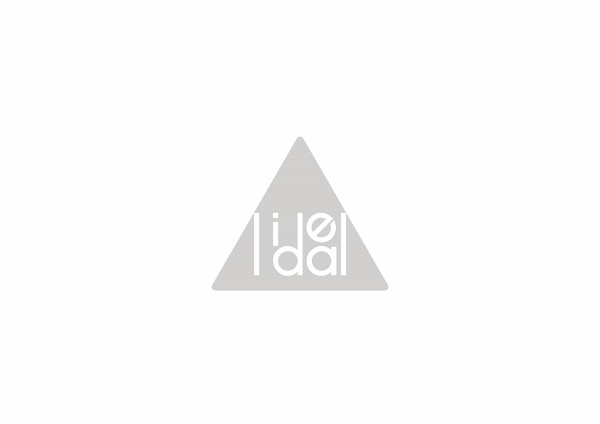 lidealロゴのみ.jpg