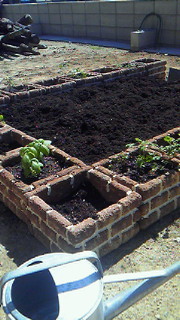 201109121048000.jpg