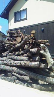201109121217000.jpg