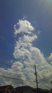 201109121218000.jpg