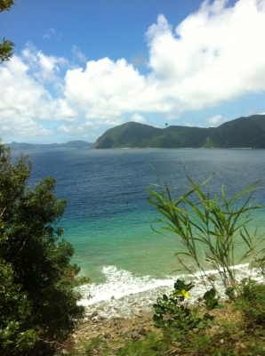 海