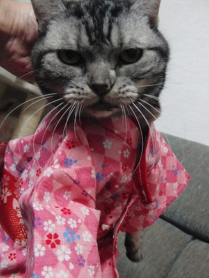 ひめ