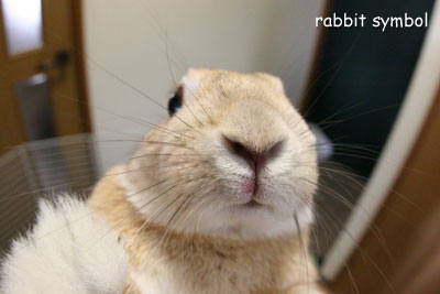 怪我るー