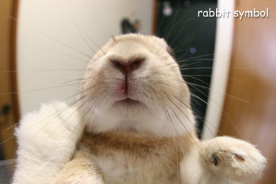 怪我るー