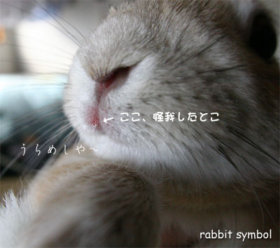 うらめし、るー