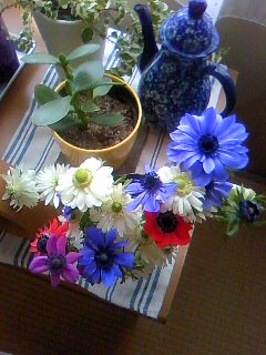 100514_0900~01.jpg