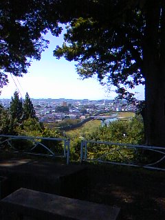 101002_1043~01.jpg