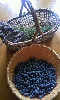 110801_1139~010001.jpg