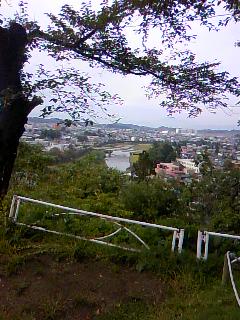 141005_0952~01.jpg
