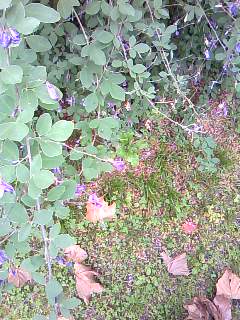 141005_1308~02.jpg