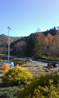 141105_1319~010001.jpg