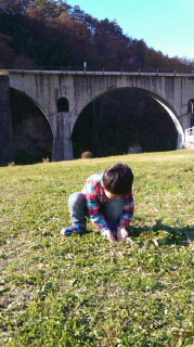 141105_1341~010001.jpg