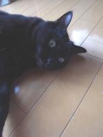 ネロ