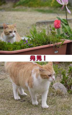 発見