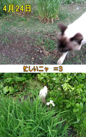 4月24日