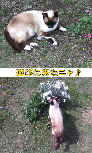 狙う