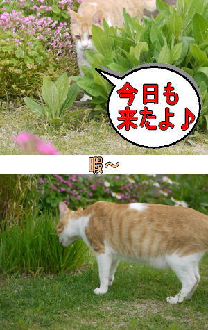 草