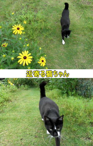 甘える