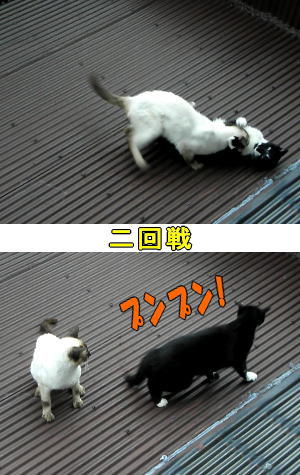 二回戦