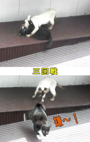 三回戦