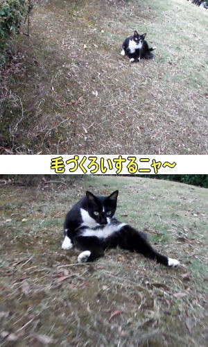 女子力アップ中